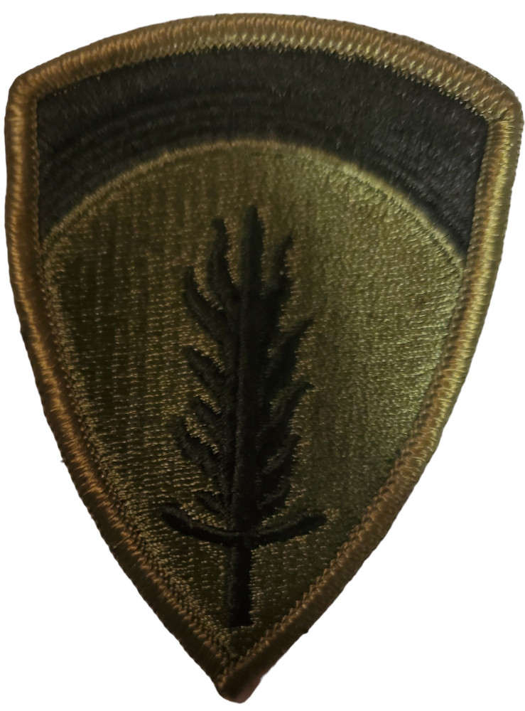 US Army Forces In Europe Subdued Patch