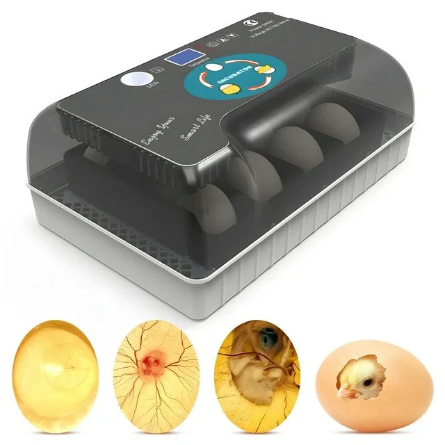 12 Eggs Incubator Automatic Egg Turning Humidity Control Temperature Display