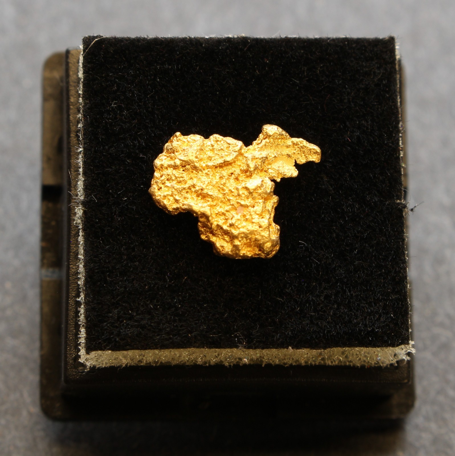 Gold nugget 1.07 Grams Rose Creek M.D Pershing Co. NV
