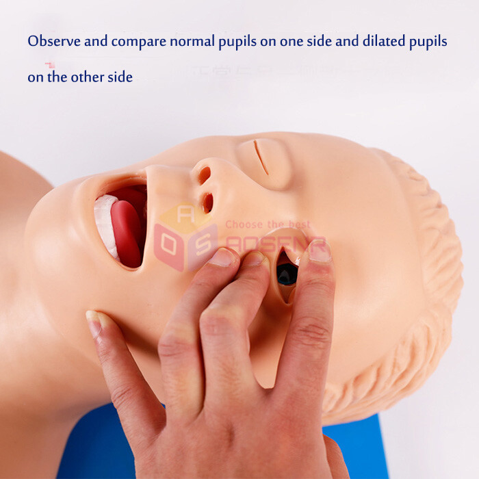 Electronic Tracheal Intubation Simulator Intubation Manikin Study Teaching Model