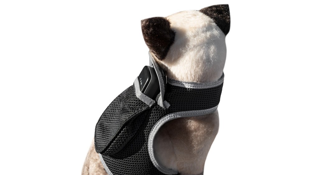 iTrackPET GPS Pet Tracker for Cat - Waterproof, GPS Location & Activity Tracker