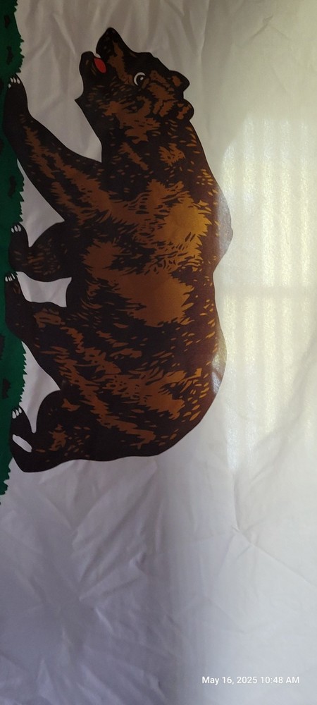 California Republic State Flag