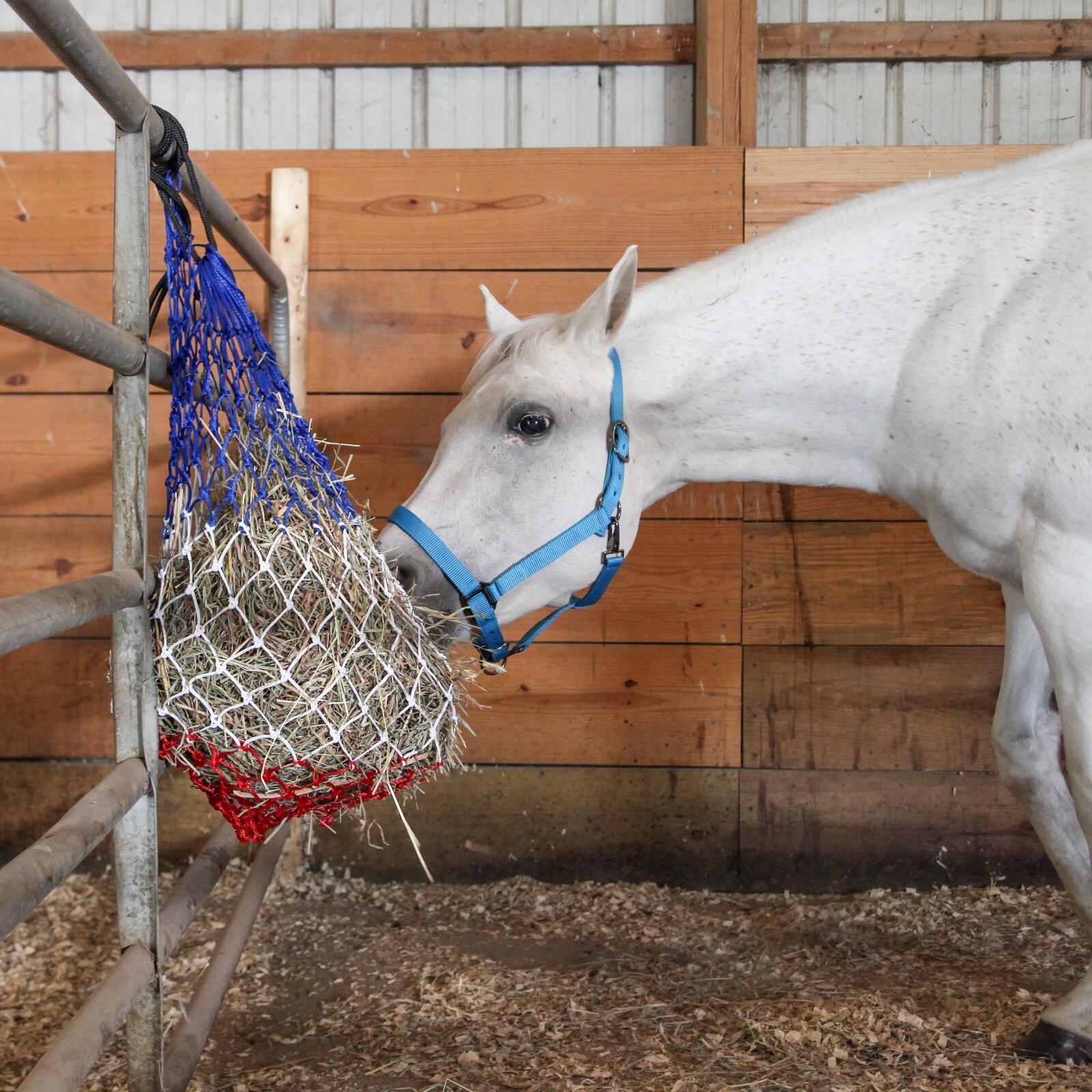 Majestic Ally 2 pcs Slow Feed 56” Hay Net with soft 3"x3" hole
