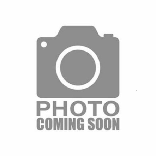 Static People, Rare Creatures