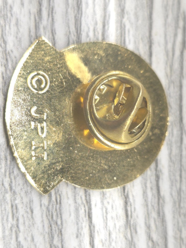 Catechist Religious Pin