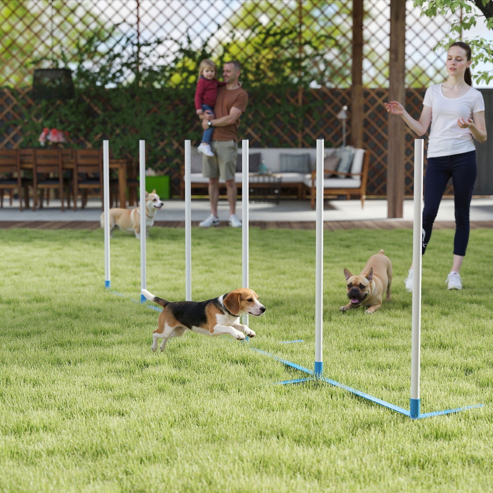 Dog Weave Pole Set Agility Starter Kit Pet Outdoor Exercise Training Set