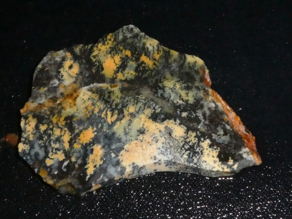 Dendtritic Opal 3 1/4 " x 2 1/4"-rough -cabbing-display--NEW
