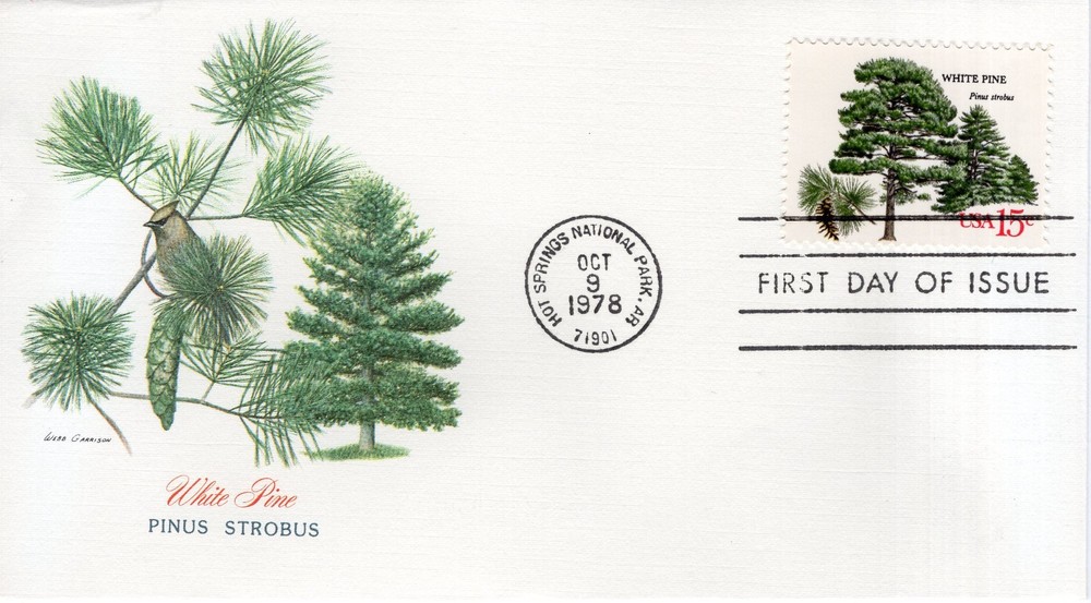 WHITE PINE  - 1978 - FW548