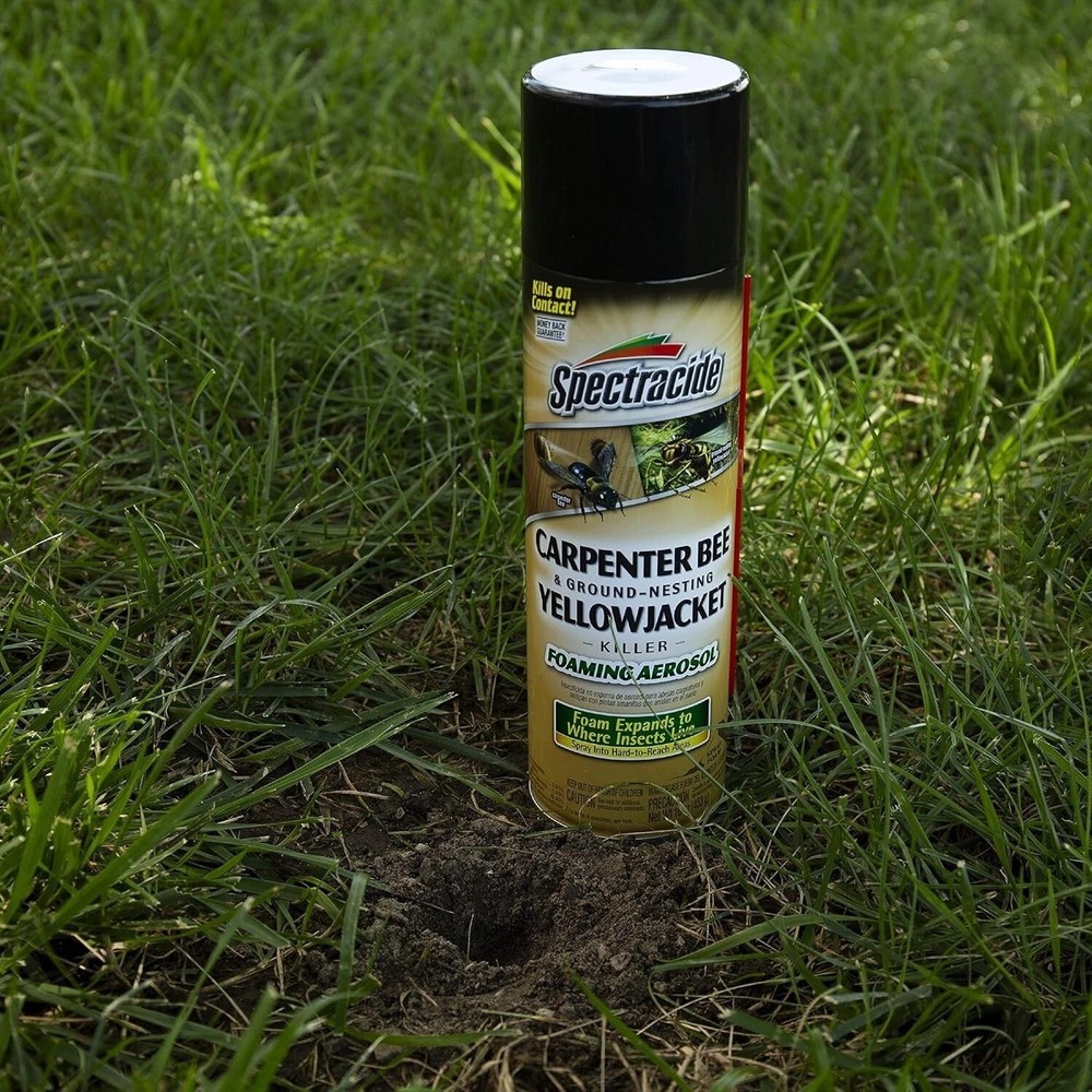 Spectracide Carpenter Bee & Nesting Yellowjacket Killer Spray 16Oz Each