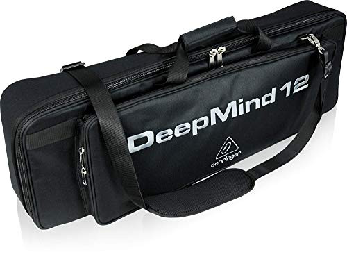 Behringer (DEEPMIND 12-TB)From Japan