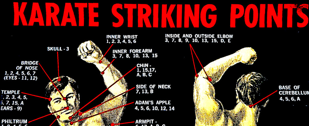 Karate Striking Points Poster 30"x21"