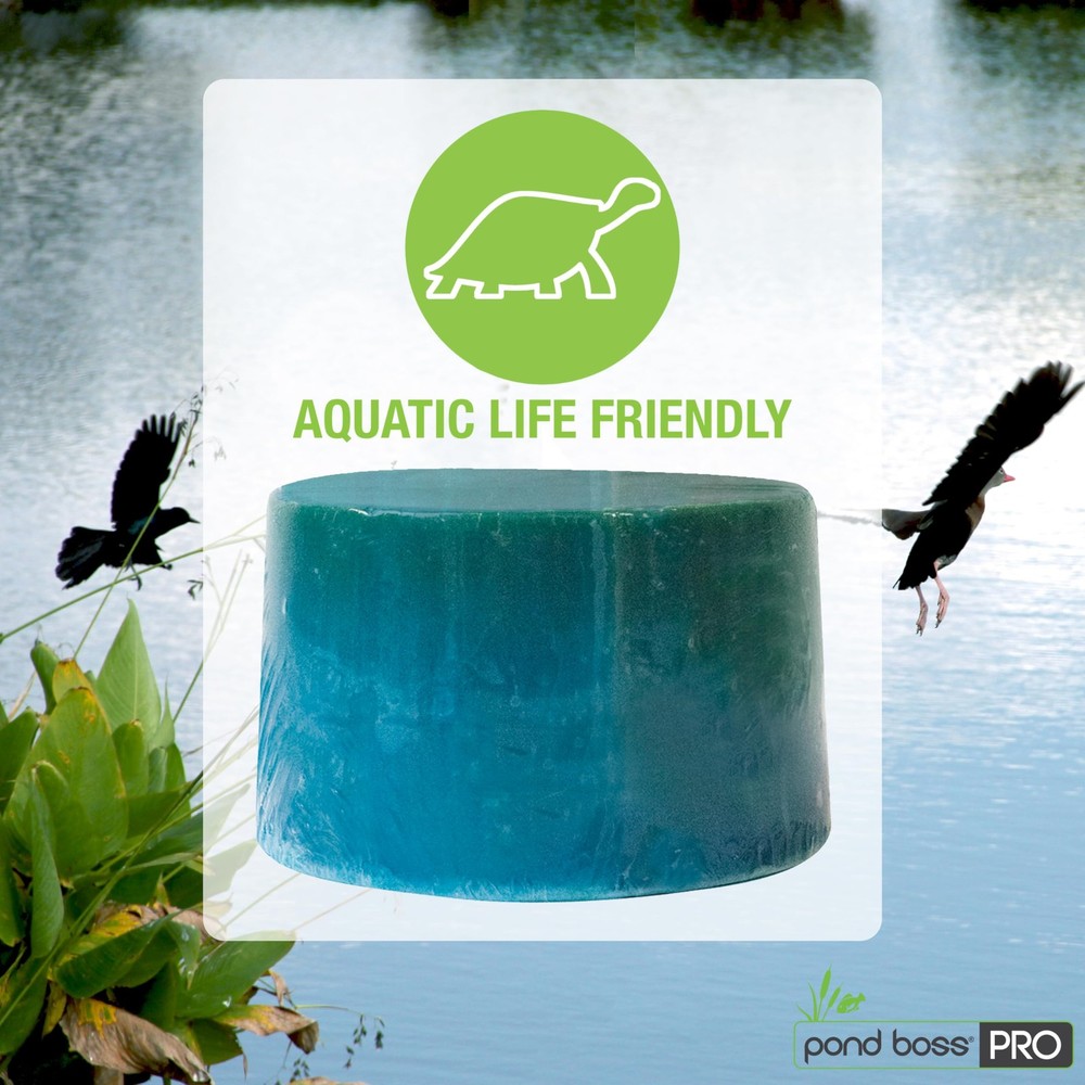 CBBPR5 Pro Block Bacteria, 5-Pound