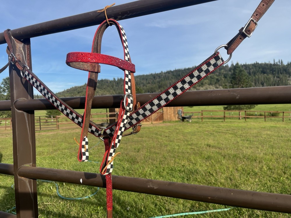 Custom red & checkered tack set
