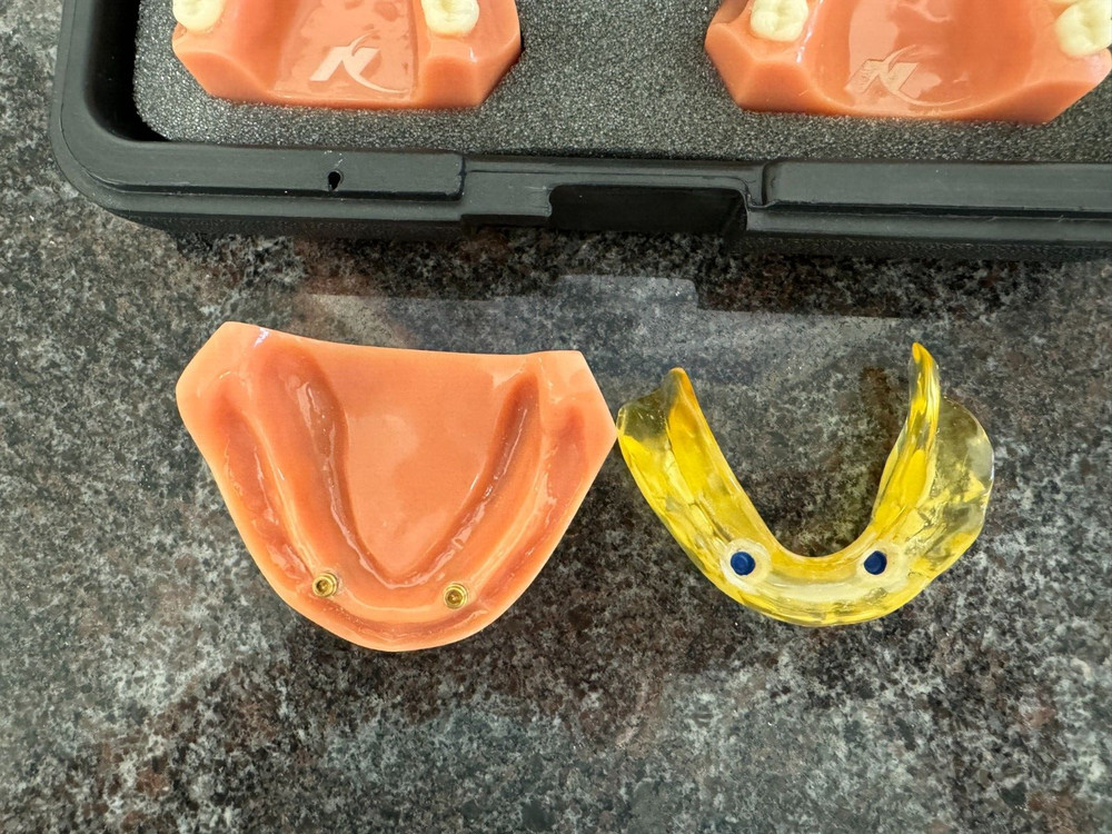 Nobel Biocare Education Models with Case