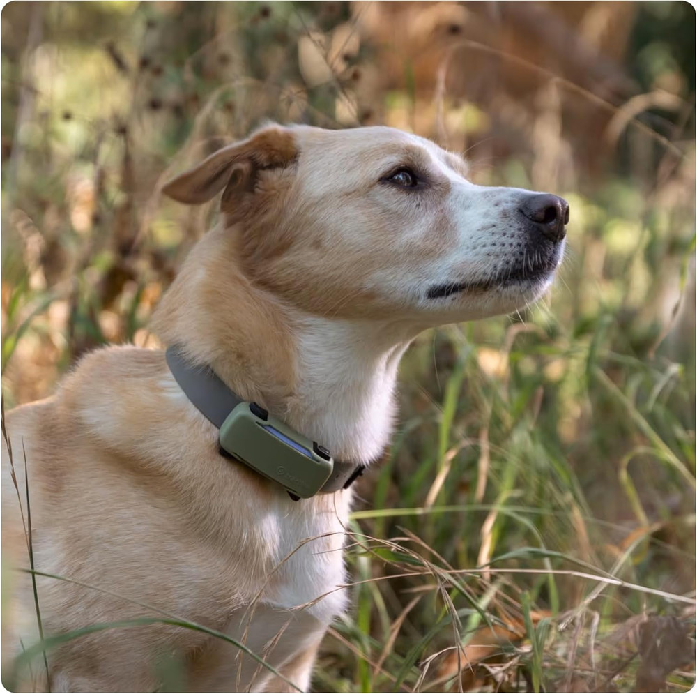 GPS Dog 6 Tracker Cover - Olive