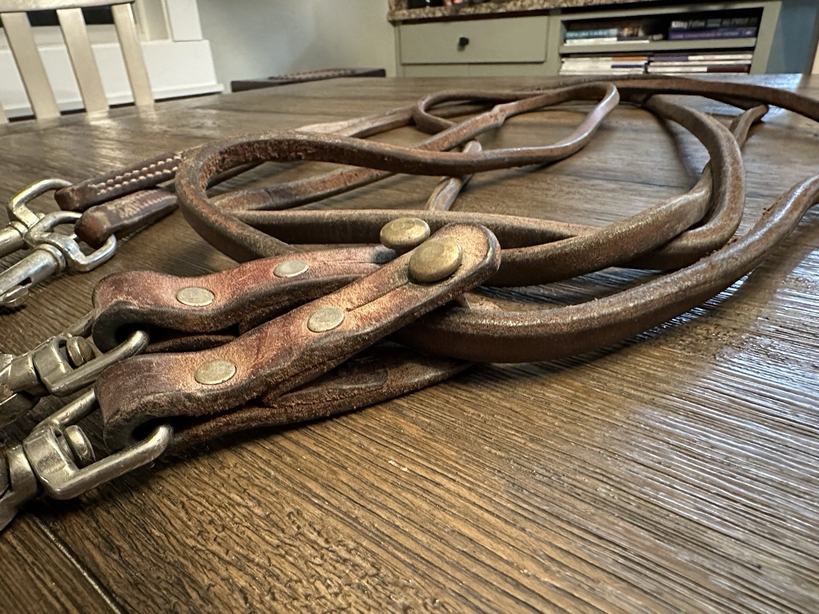 Horse Tack - Leather Draw Reins