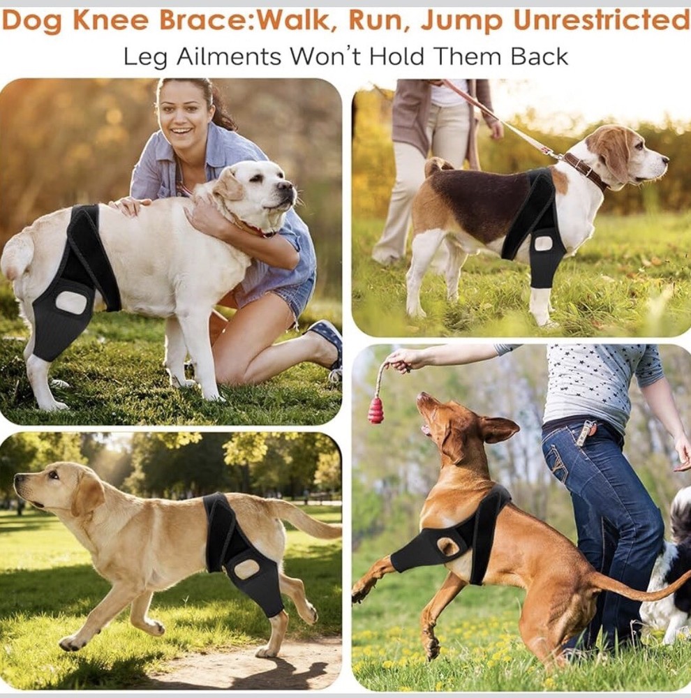 Rodillera Para Perros