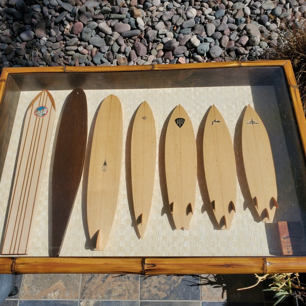 Dave C. Reynolds Signed Surf Art Original Artwork "Evolution '98" Surf boards