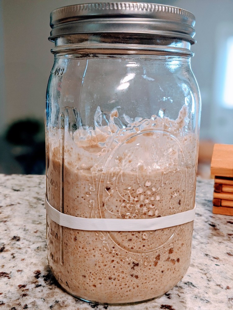 Sourdough Starter from Idyllwild