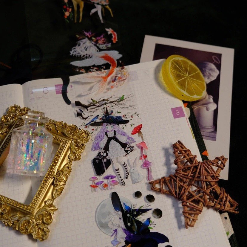 Fantasy Coast Witch Caravan PET Tape SAMPLE LOOP