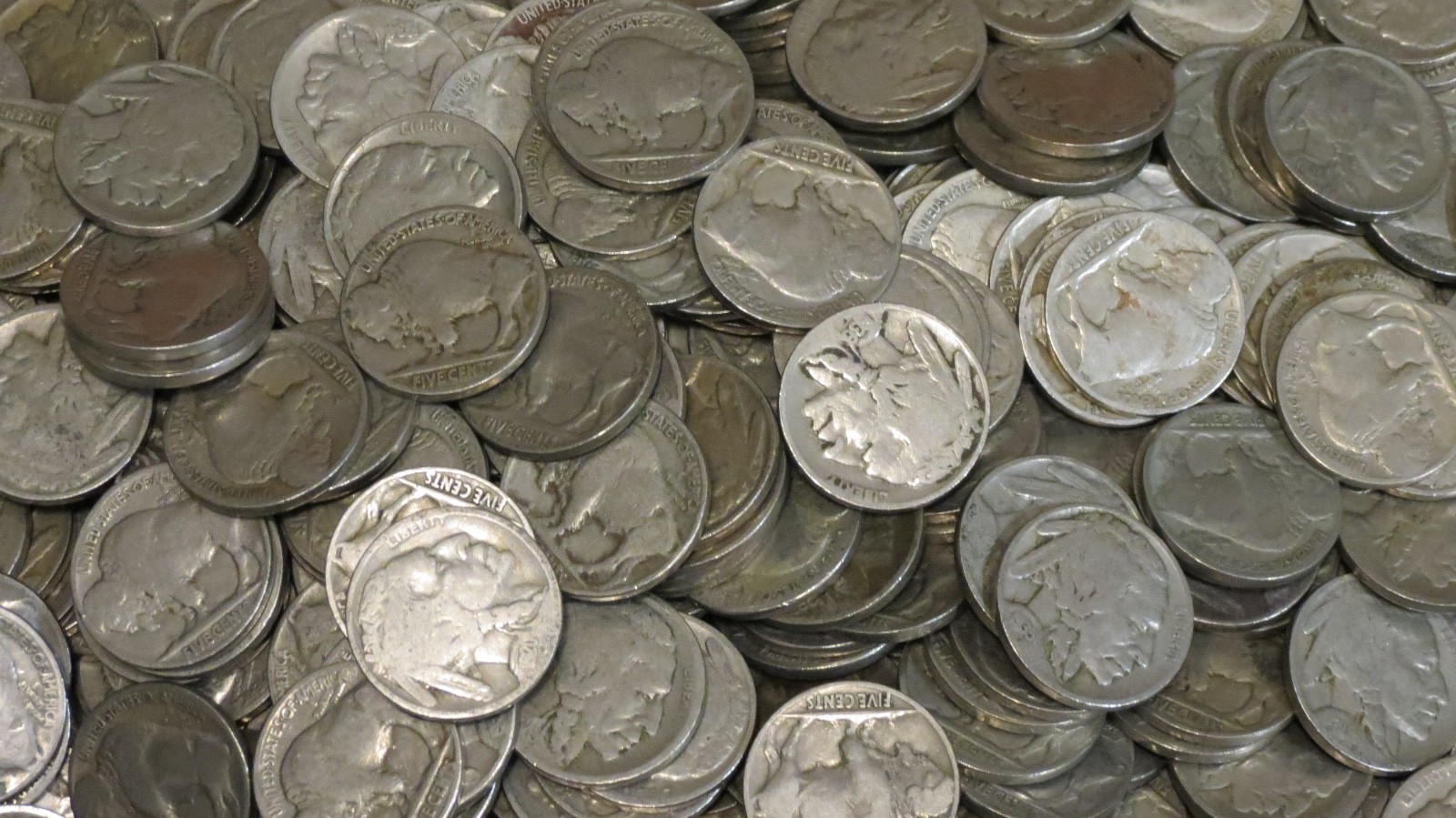 500 Buffalo Nickels Bulk Lot P Mint Only Part Date to Strong Part Date 5c Coins