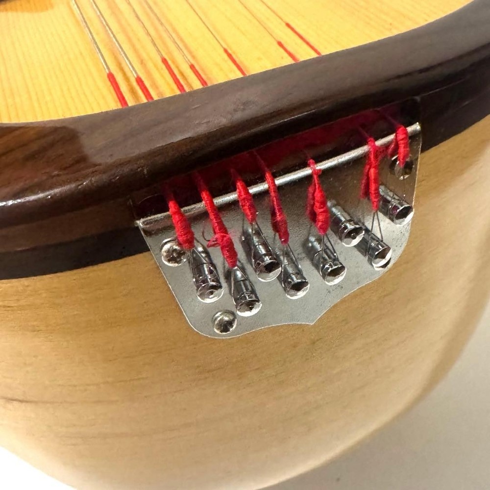 Good condition MONOPIA Mandolin with hard case