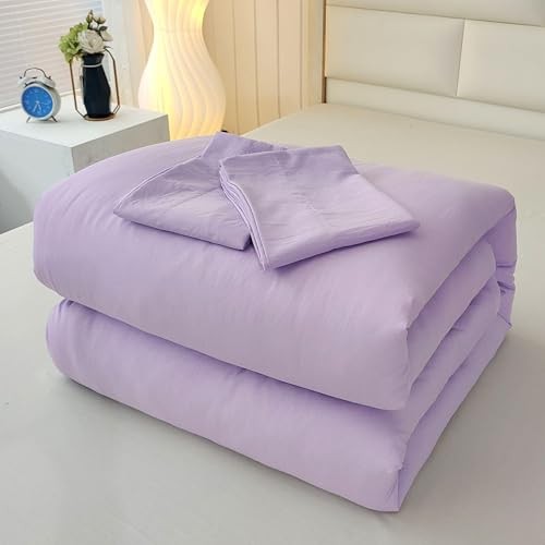 3PCS Purple Comforter Set with 2 Pillowcases, Brushed Queen Solid Purple