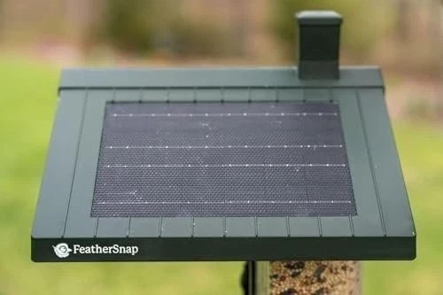 Feathersnap Smart Bird Feeder with AI Bird Identification & HD Camera –...