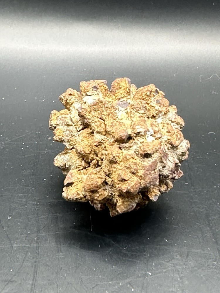 Dinosaur Coprolite -Fossilized- Genuine