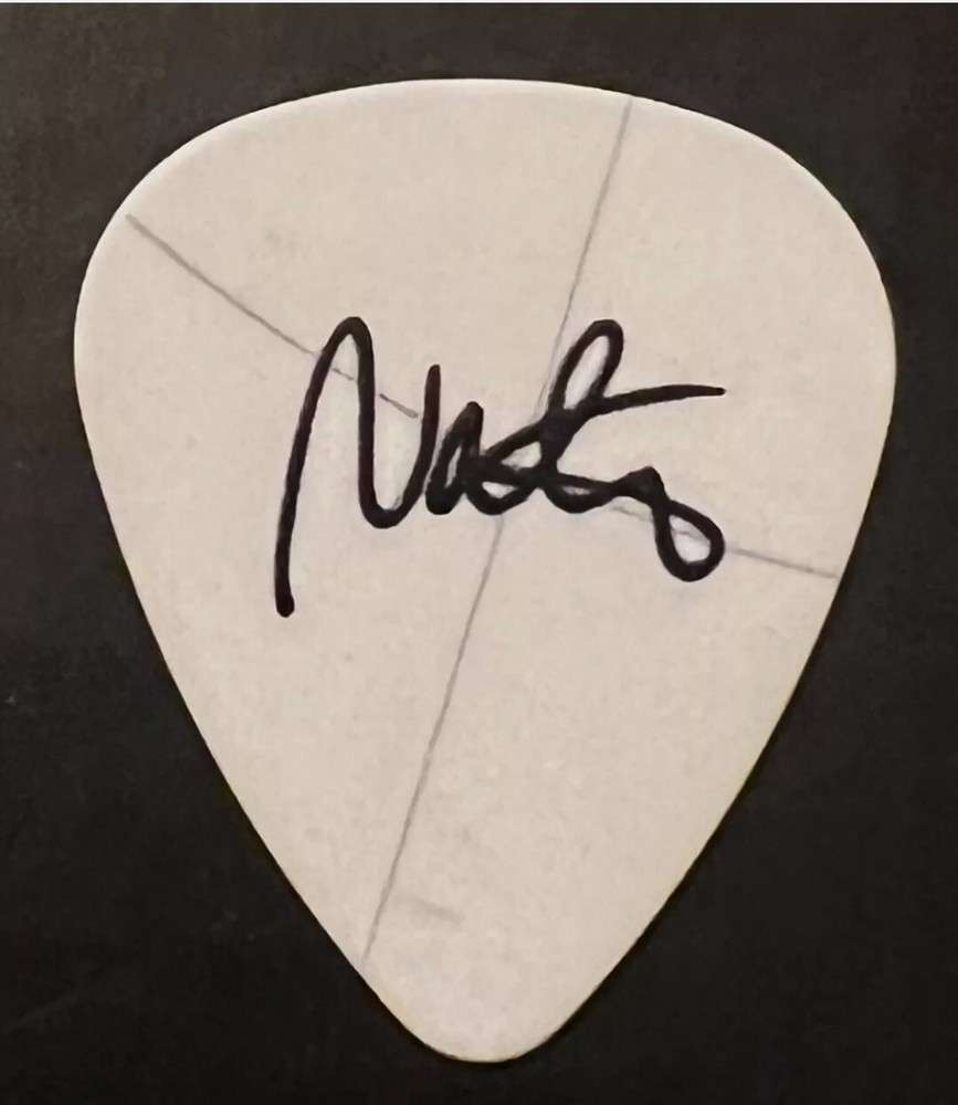 Foo Fighters Guitar Pick 2024 tour