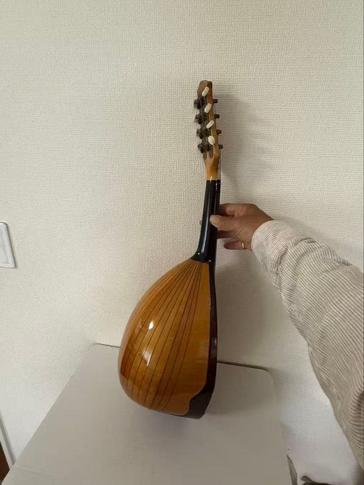 SUZUKI Mandolin String instrument Musical instrument Year unknown