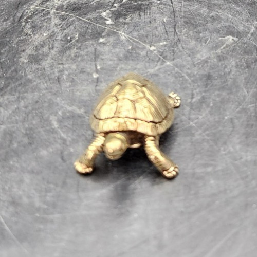 Miniature 1.5" Brass Box Turtle