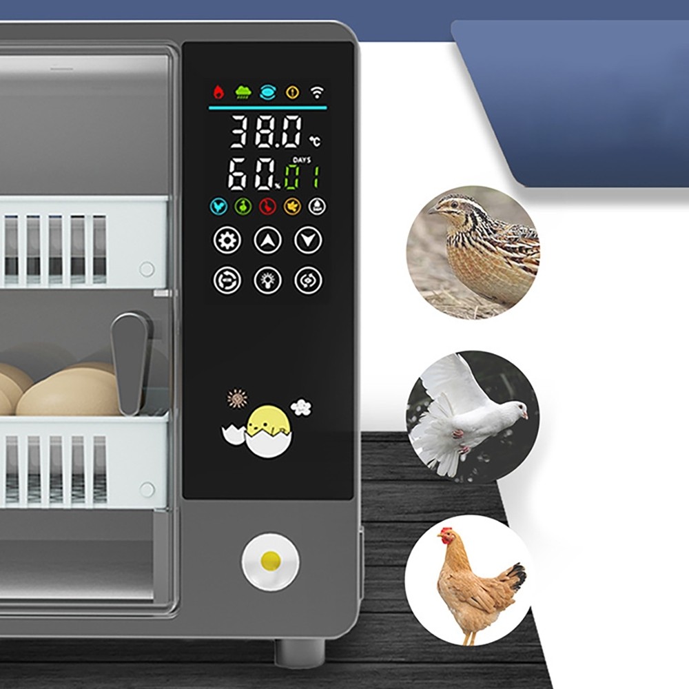50W Fully Automatic Egg Incubator Egg Hatching Brooder Auto Hydration Flipping