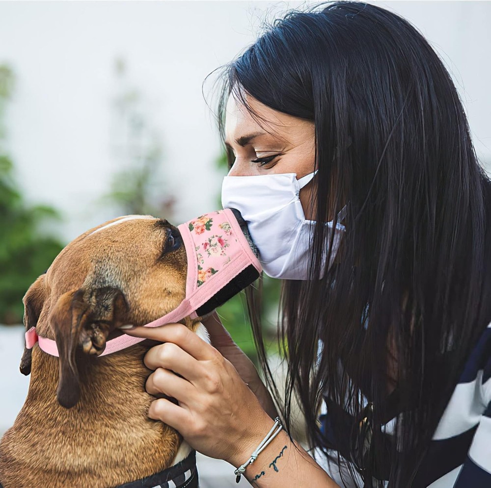Dog Muzzle,Soft Nylon Muzzle Anti Biting Barking Chewing,Air Mesh Breathable ...