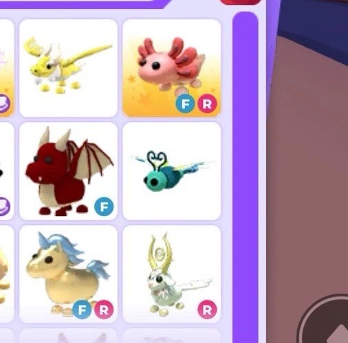 Adopt Me! Dragonfly - LEGENDARY