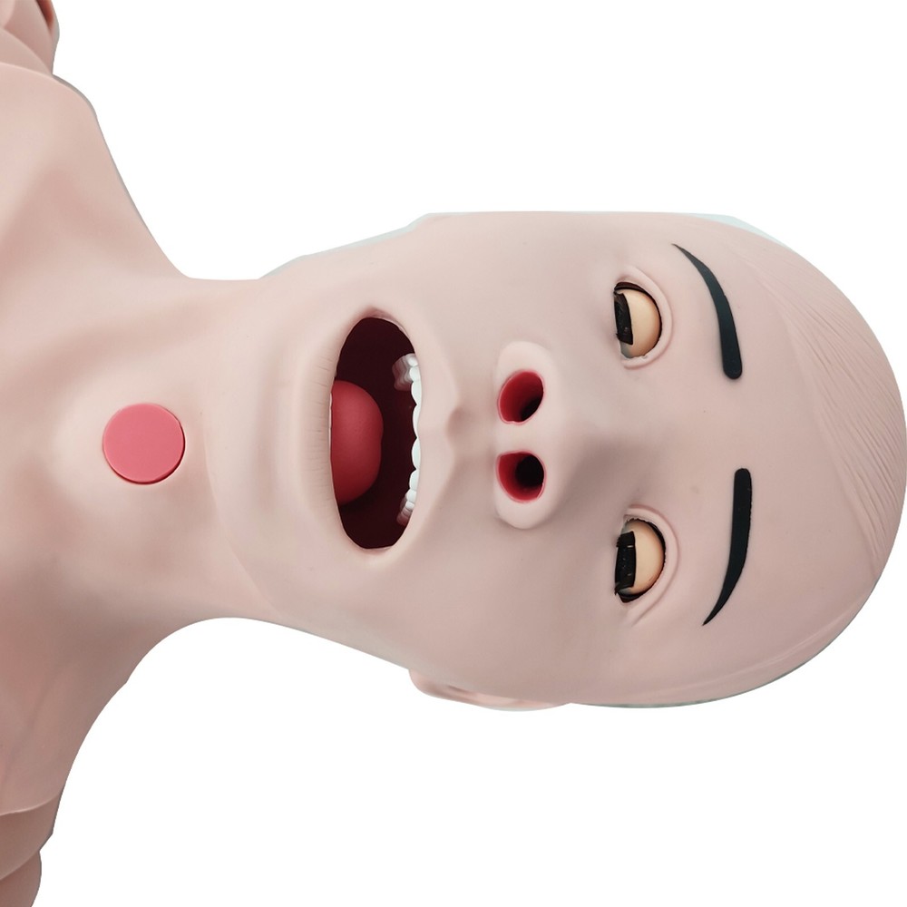 Advanced Patient Care Burn Teaching Anthropomorphic Model Trauma Nursing Model