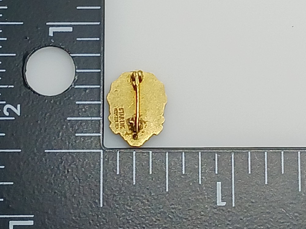 Buffalo Public Schools Service Pin