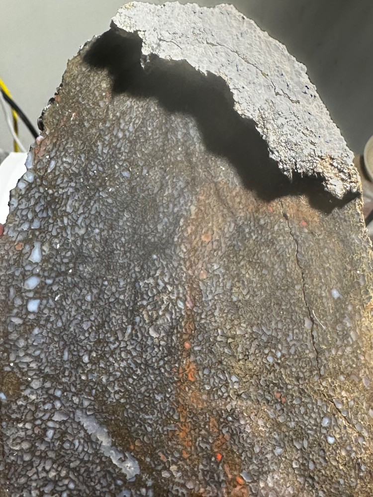 Dinosaur bone rough **hxtled large slab.