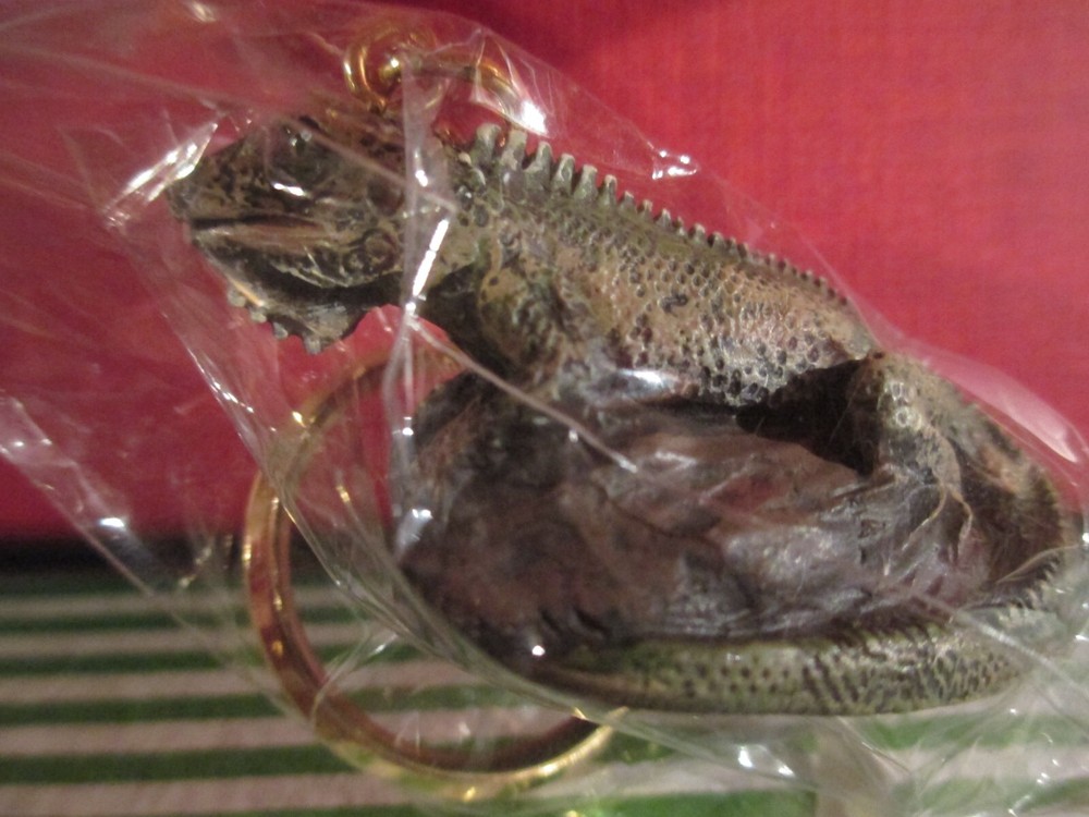 IGUANA ~ KEY CHAIN