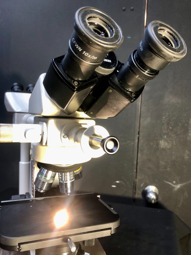 Nikon Labophot 2 Microscope Dual Viewing Heads with 5 Objectives