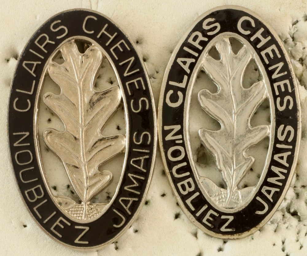 PAIR 6th Engineer Battalion Crests DI/DUI Pinback/Screwback  VARIATIONS