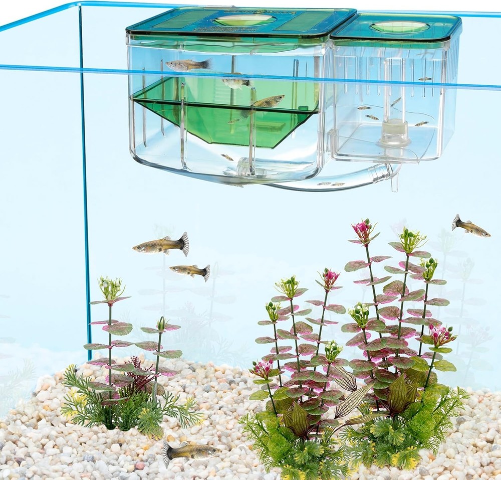 Aquarium Fish Hatchery Breeding Box with Automatic Circulation and Removable Top
