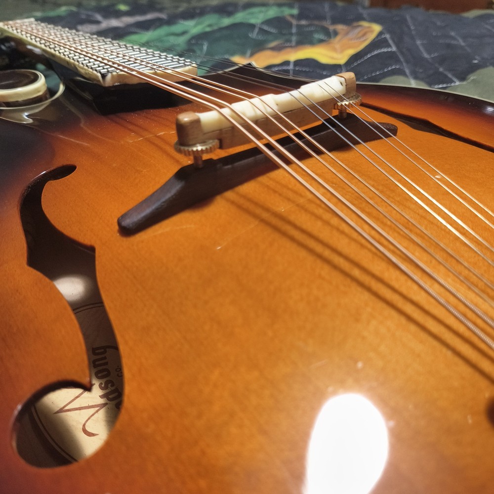 Windsong Mandolin WFM-70