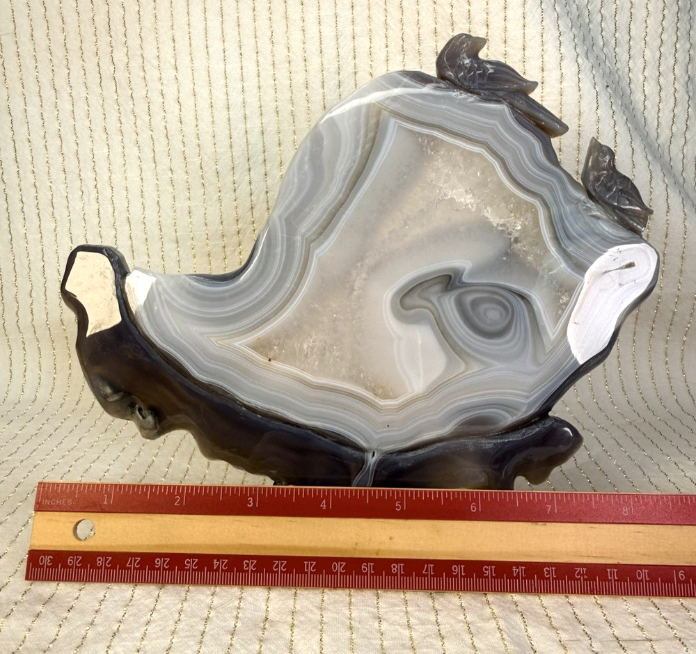 Blue Lace Bird Carving Slab