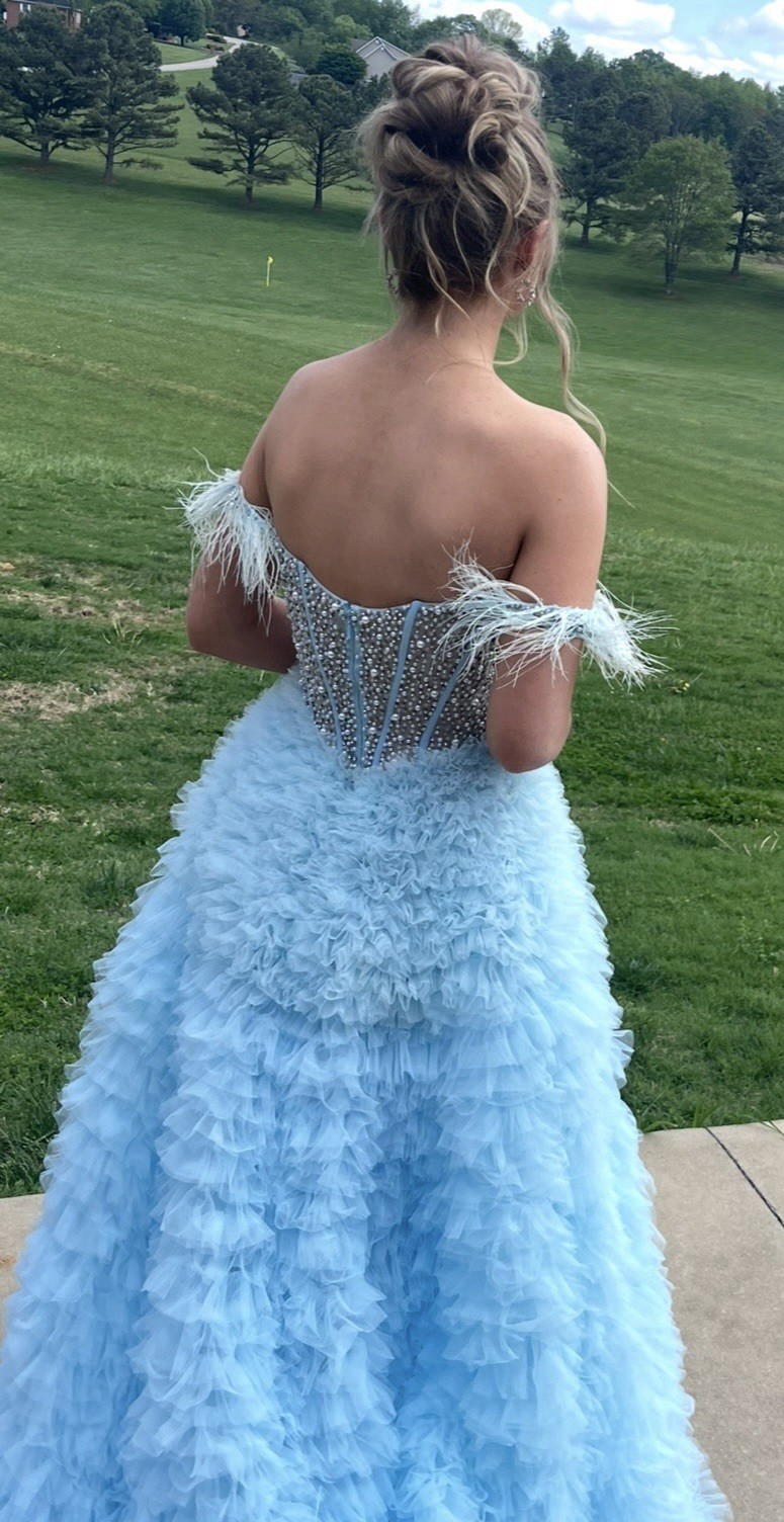 Sherry Hill Gown 55387 Tulle, Feathers Size 00