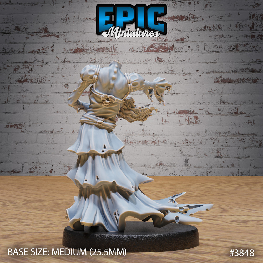Classic Banshee B | Epic Miniatures | RPG D&D Pathfinder Wargaming