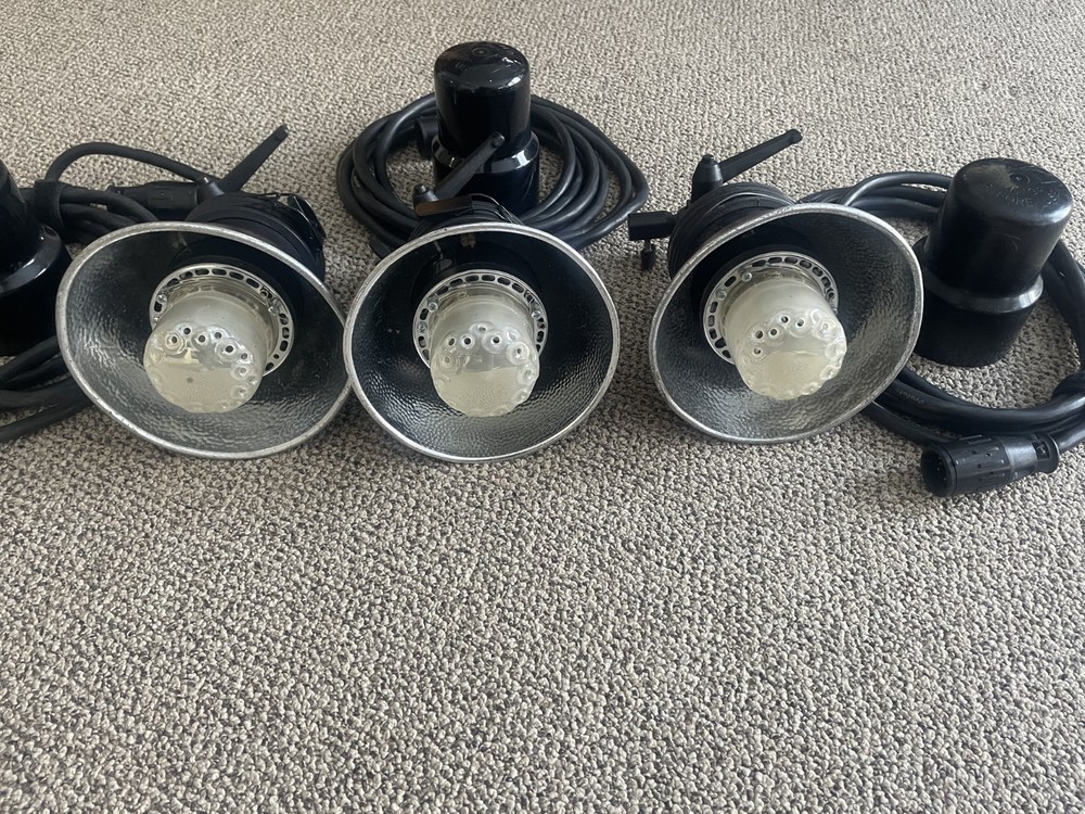 Profoto acute D4 heads