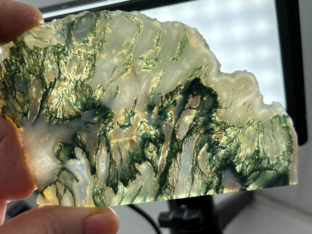 Thin Semi-translucent Moss Agate Slab Cabbing Lapidary Carving Combo Ship Avail