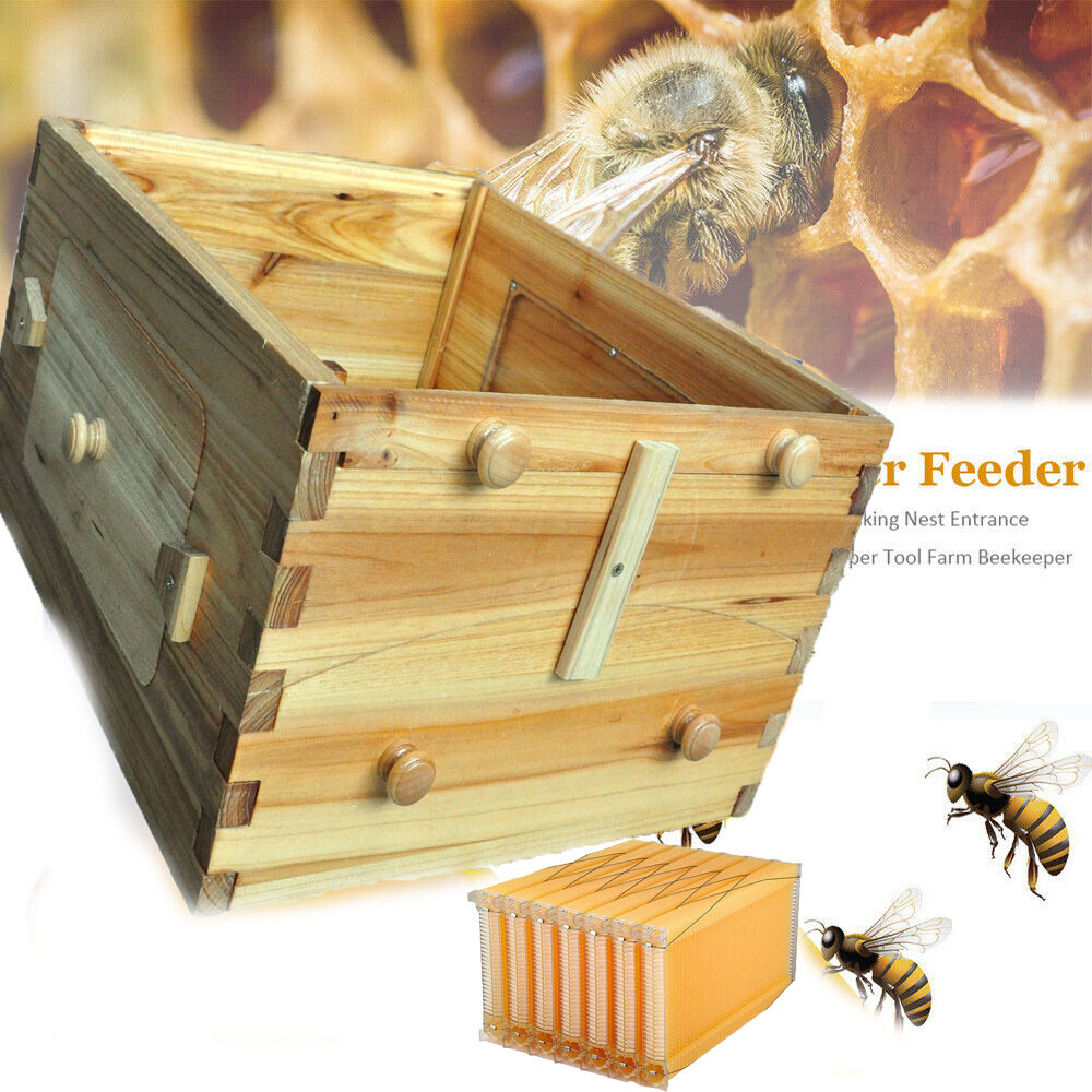 Auto Shed Beehives Super Box + 7 Plastic BPA free Beekeeping Frames Bee Frames