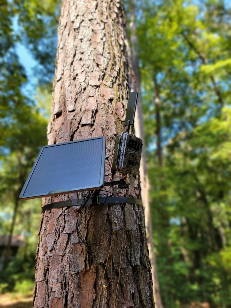 Dual Arm Trail Camera Mount Ratchet Strap